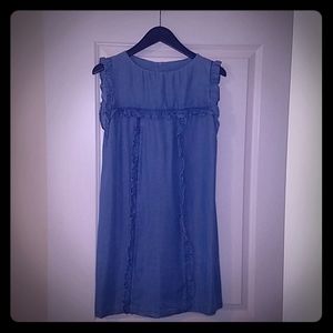 Zara Denim Tencel DRESS